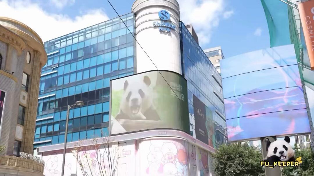 Fu Bao Poster