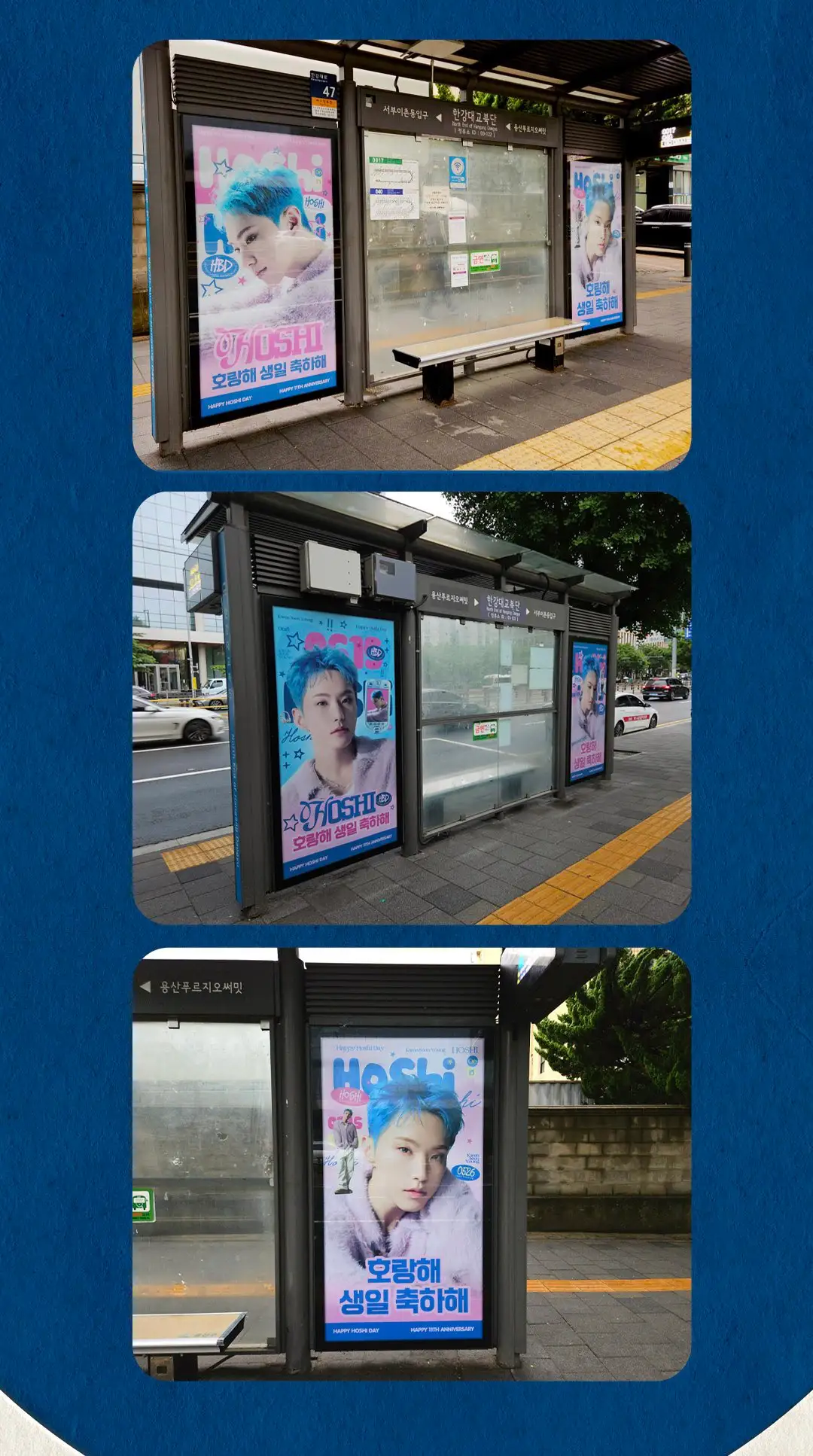 호시 Poster