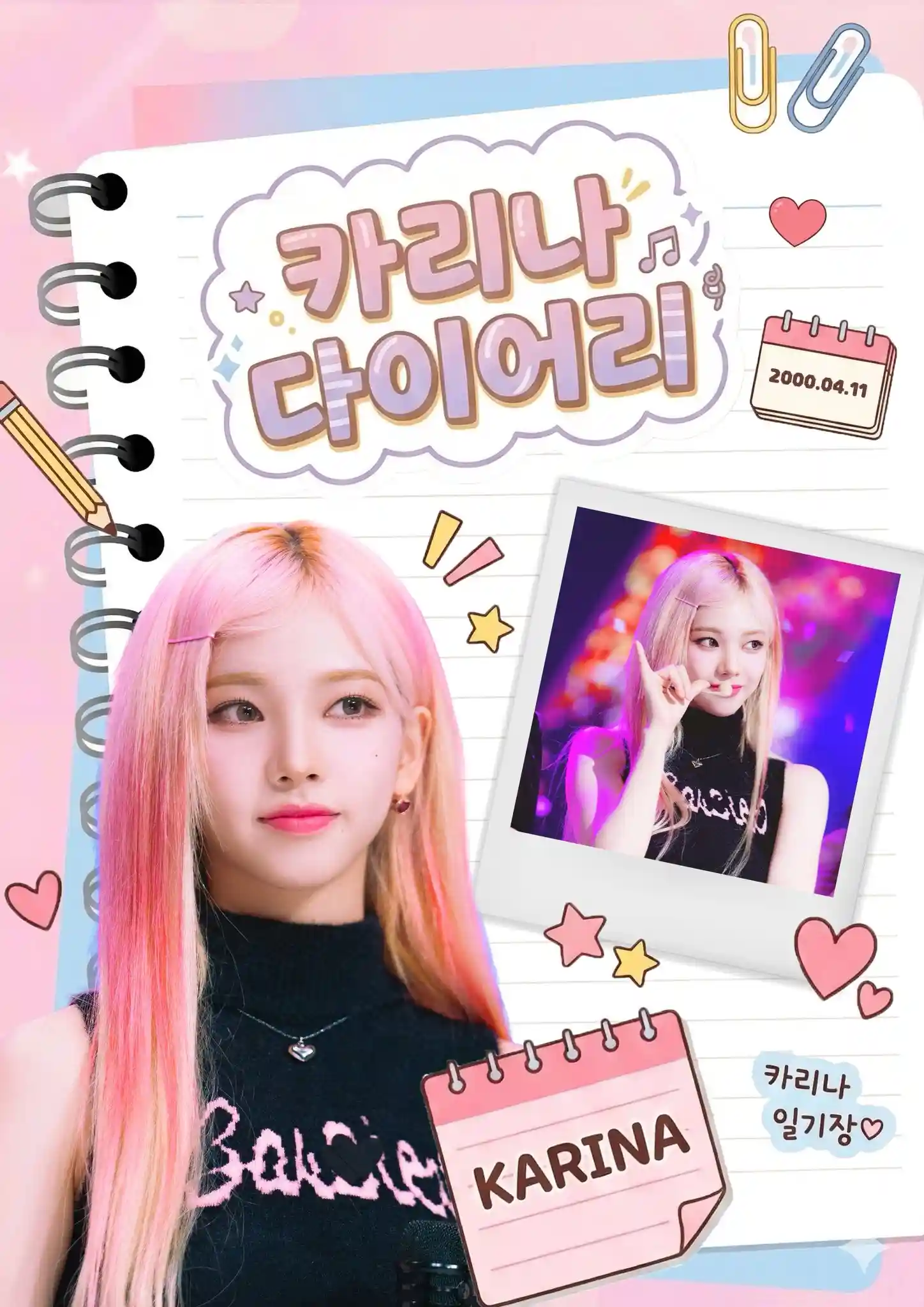 카리나 다이어리