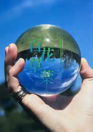 百花草叶