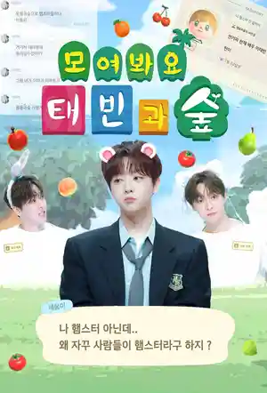 聚在一起，泰宾和森林