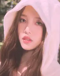 이수진