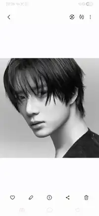 범규